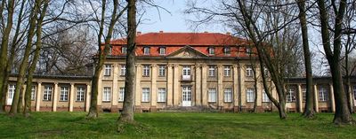 Palace in Czacze of Gajewski.jpg