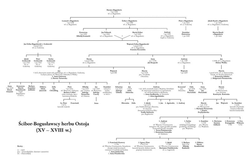Plik:Bogusławscy korzenie.jpg