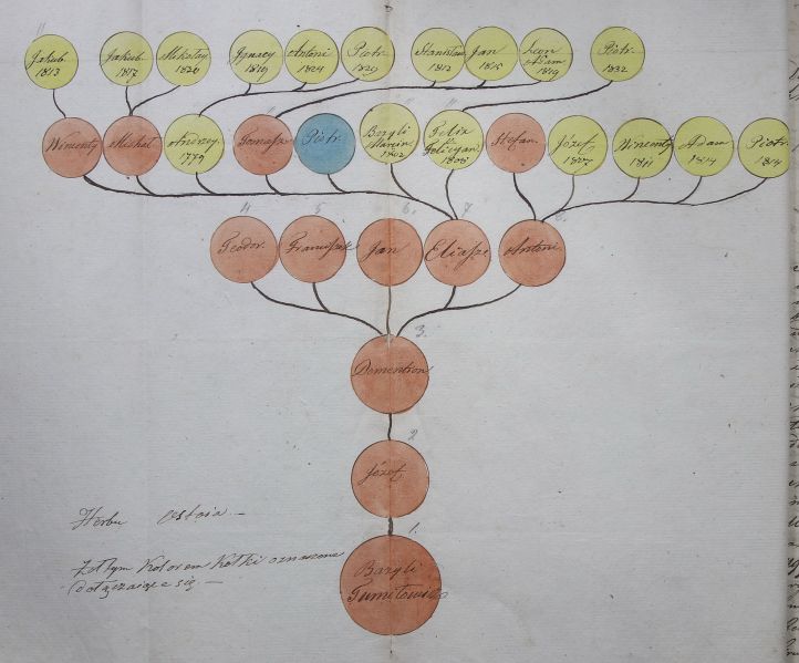 Plik:NIAB LA 319 2 3293 308 copy.jpg